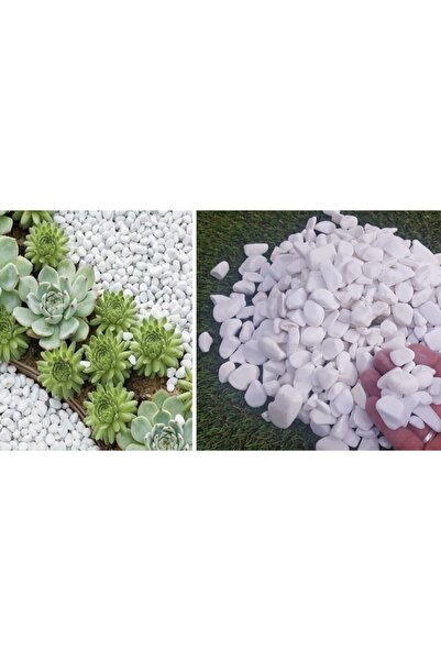 Asenya Beyaz Dolomit Taş 4 Kg 1,5-2,5 Cm Bahçe Taşı Dekoratif Taş Dere Taşı Ç...