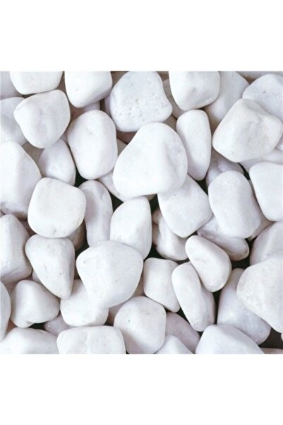 Asenya Beyaz Dolomit Taş 4 Kg 2,5-4 Cm Dere Çakıl Taşı Bahçe Süs Taşı Saksı T...