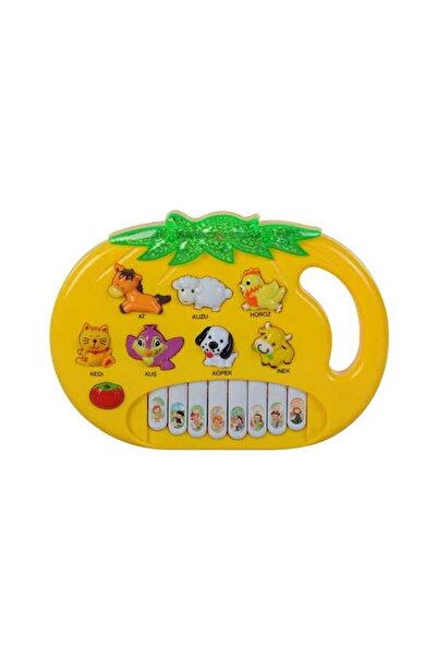 İBS Meyveli Piyanom Sesli Ve Işıklı 8