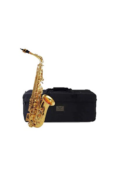 BLACK RAVEN Alto Salsafon Br-as100l