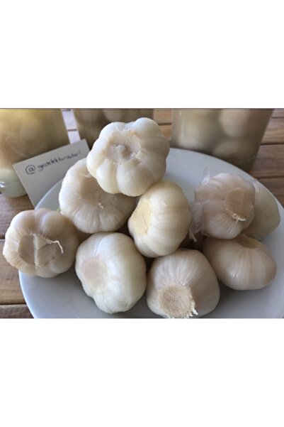 Gedelek Turşuları Gedelek Sarımsak Turşusu 1 Kg'lik Pet Gedelek Trak Turşuları