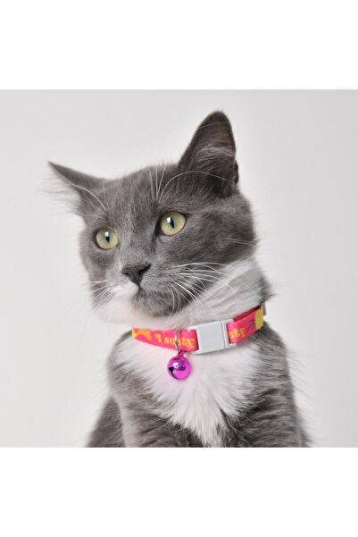 TWEETY Boyun Tasması 1 Cm Pembe