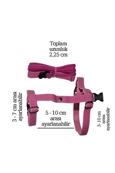 Petcalvit Ginepig & Hollanda Cüce Tavşan Tasması Hafif Elastik Ayarlanabilir