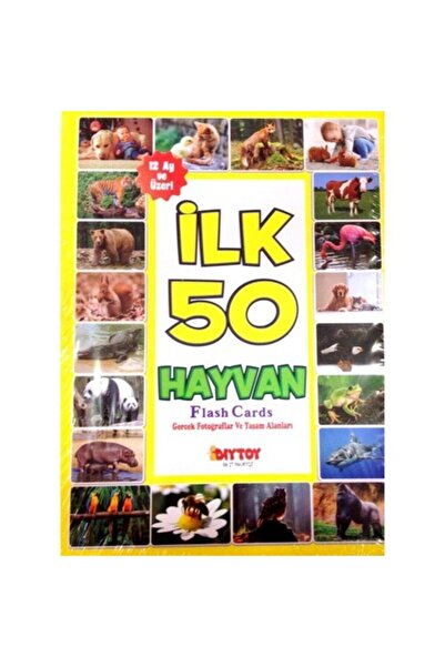Diytoy Ilk 50 Hayvan Flash Cards Hafıza Kartları Orijinal Ürün