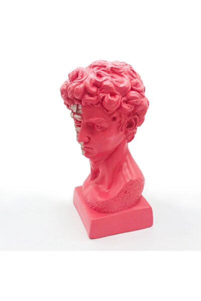 Bun Design Pembe Davut Biblo