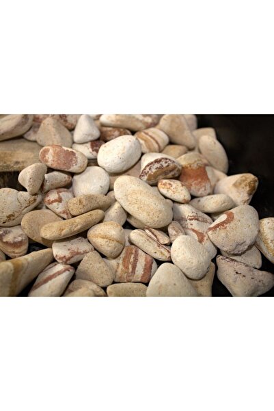 Asenya Sarı Çizgili Dolomit Taş 4 Kg 2,5-4 Cm Bahçe Süs Taşı Dolamit Taş Deko...