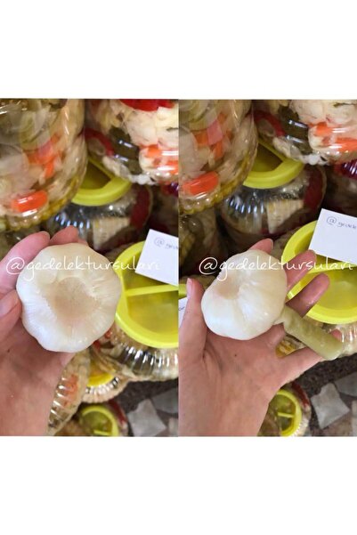 Gedelek Turşuları Gedelek Sarımsak Turşusu 1 Kg'lik Pet Gedelek Trak Turşuları