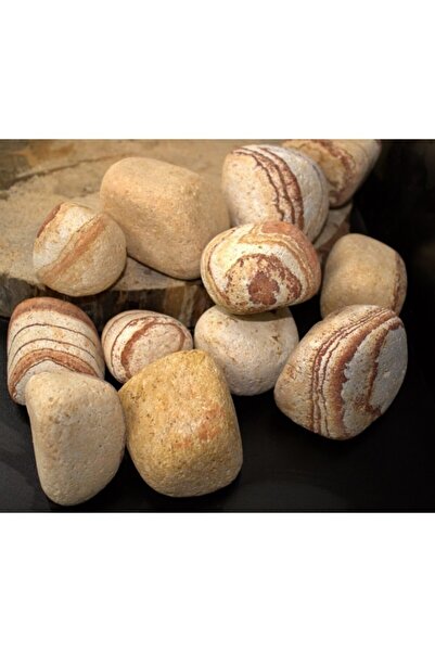 Asenya Sarı Çizgili Dolomit Taş 5 Kg 6-10 Cm Bahçe Süs Taşı Dolamit Taş Dekor...