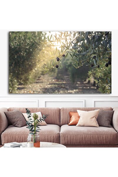 Sebenta Dev Boyut Zeytin Dalı Kanvas Tablo