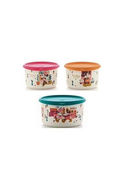 Tupperware Minnie Mickey Set