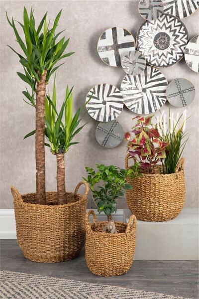 Cherry Collection Hasır Sepet Saksı 3'lü 23x32x26 Cm 18x24x22 Cm 14x20x18 Cm
