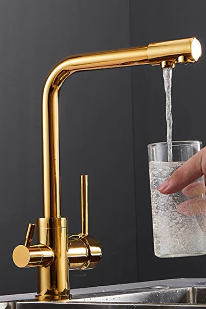 HMS Gold Arıtmalı Batarya Çift Çıkışlı