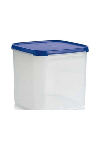 Tupperware Modular Dry Food Storage Container 4 lt
