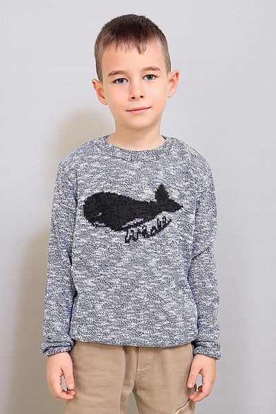 ALEXANDERGARDI Pulover de tricotaj cu model pentru copii (C19-AG50384)