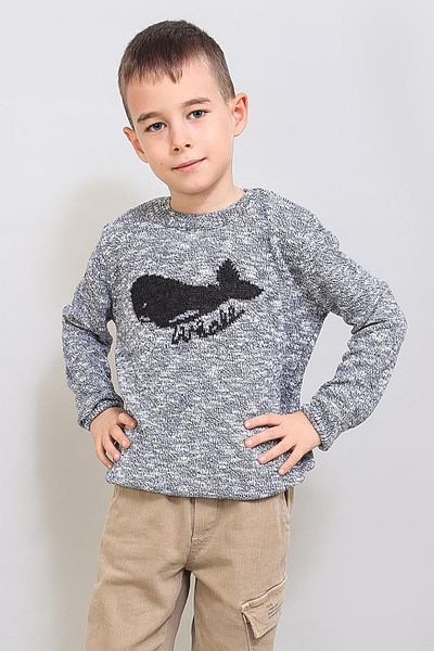 ALEXANDERGARDI Pulover de tricotaj cu model pentru copii (C19-AG50384)