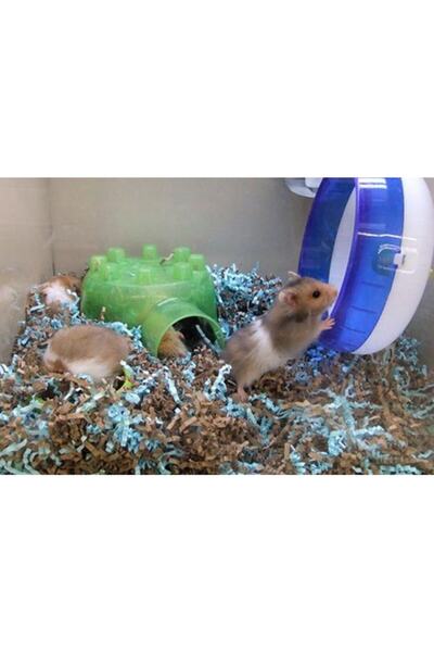 EMPA Evcil Hayvan Talaşı (2KG) - Tavşan Talaşı - Hamster Talaşı - Kedi Köpek ...