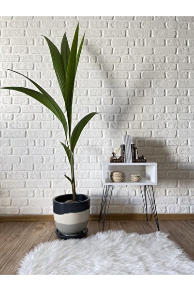 odka Saksı Tabaklı 25cm Antrasit-ekru-granit