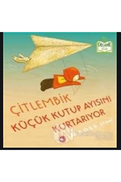Beyaz Balina Yayınları Çitlembik Küçük Kutup Ayısını Kurtarıyor