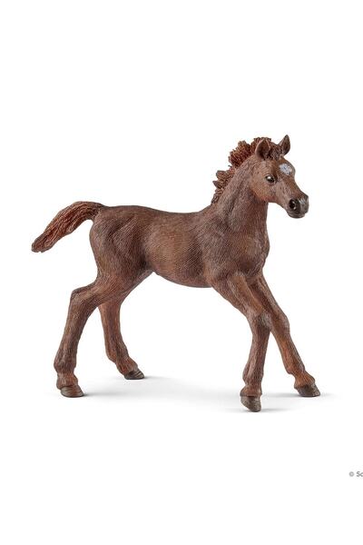 SCHLEICH Cal de rasă pură Tayı