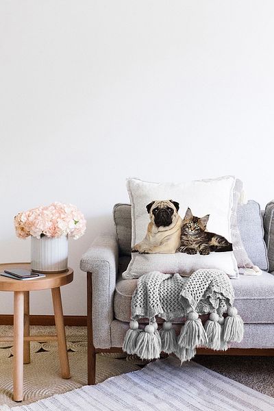 Realhomes Husă de pernă drăguță cu model pentru câine și pisică, cu două fețe, drăguț, modern, tricotat Raschel