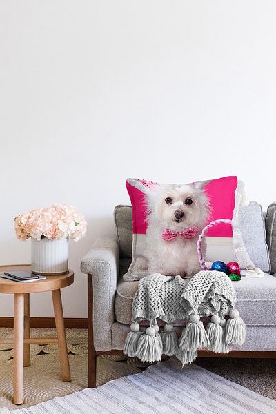 Realhomes Model de câine drăguț cu două fețe, imprimat digital, husă de pernă tricotată Raschel modernă
