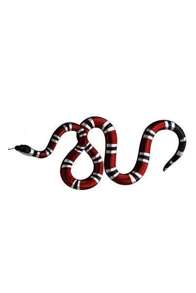 Market66 Geçici Dövme 3d Renkli Yılan Zehirli Snake Gerçekçi Tattoo Kol Bilek Omuz Dövmesi