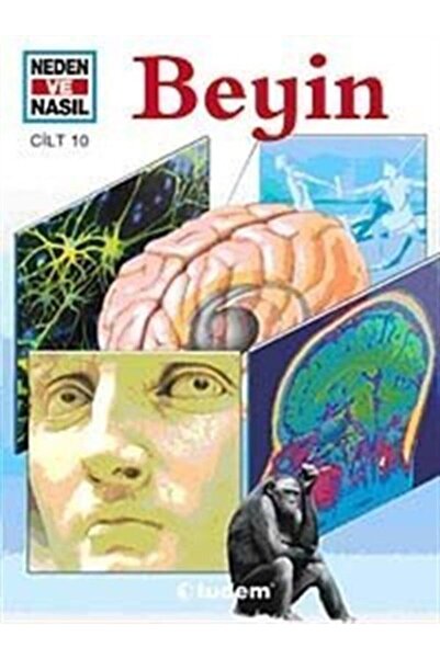 Tudem Yayınları الدماغ / لماذا وكيف -10