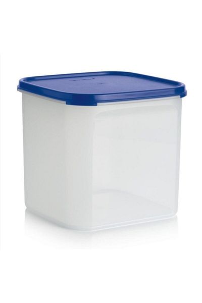 Tupperware حاوية تخزين بيضاوية 4 لتر