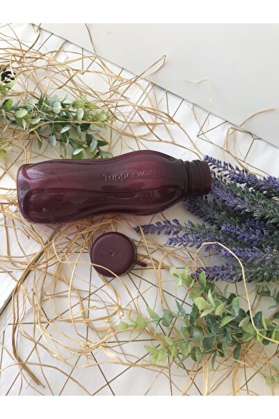 Tupperware Eko Şişe 310ml Bordo