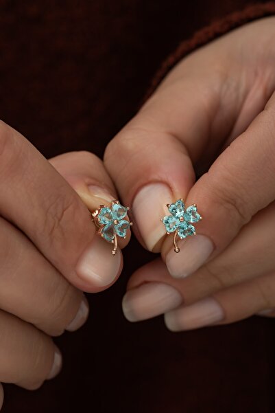 Nereze Kadın 925 Ayar Aquamarin Taşlı Yonca Küpe Gümüş Küpe