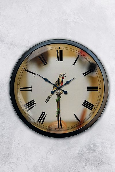 Kasva Concept Gift 40 cm Black Metal Bird Wall Clock