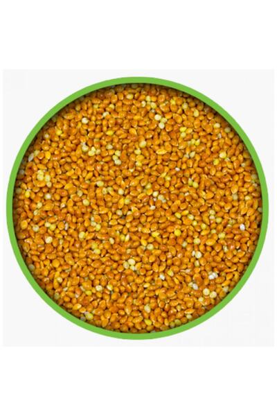 Akyol Kızıl Darı 1kg