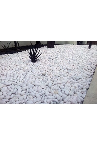 IŞIK Beyaz Dolomit Taşı 25 Kg 4-6 Cm Taş Dekoratif Taş Bahçe Süs Taşı Dolamit