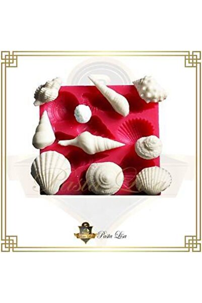 lisapastacılık Silikon Kalıp - Deniz Kabukları