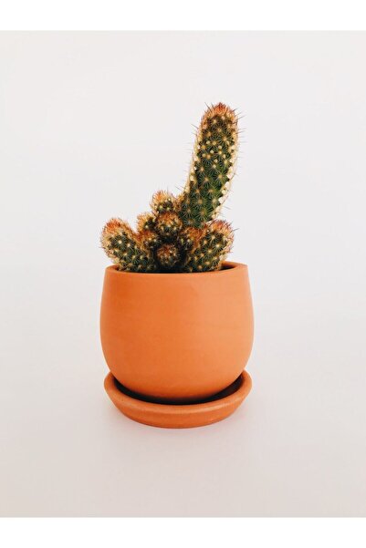 Cappadocia Pottery Paris Serisi Toprak Saksı 9x9cm / Tabaklı / Altı Delik