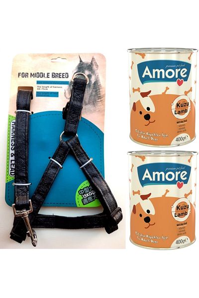 AMORE Lusso Comfort 11-13kg Dog Collar and Walking Strap Set with Lamb Meat Canned 2x400g