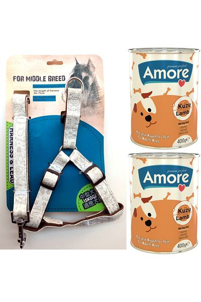 AMORE Lusso Comfort 12-15kg Dog Collar and Walking Strap Set + Lamb Meat Canned 2x400g