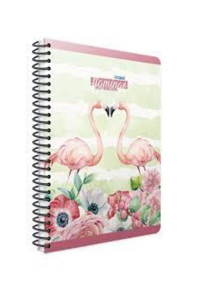 Gıpta دفتر ملاحظات بغطاء صلب حلزوني فلامينجو 17x24 100 Yp. مخطط 4173