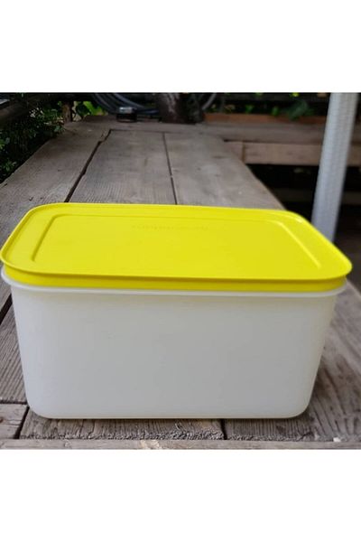Tupperware Alaska 2-Piece Storage Container Yellow Lid
