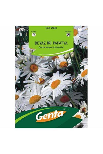 Genta Margrit Papatya Alman Papatyası Tohumu