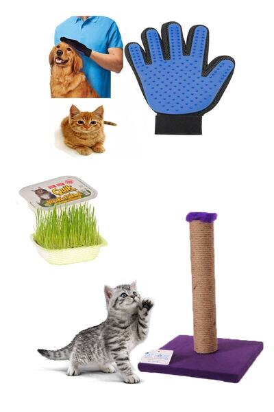 Pet Style مجموعة العناية بالقطط