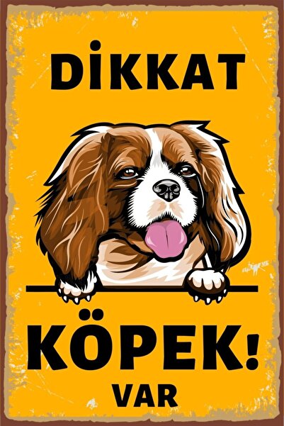 Hayal Poster Dikkat Köpek Var Retro Ahşap Poster