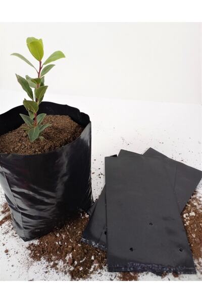 Ekodoğa Fidan Poşeti 25x50 Cm 10 Adet Fide Torbası Fide Poşeti
