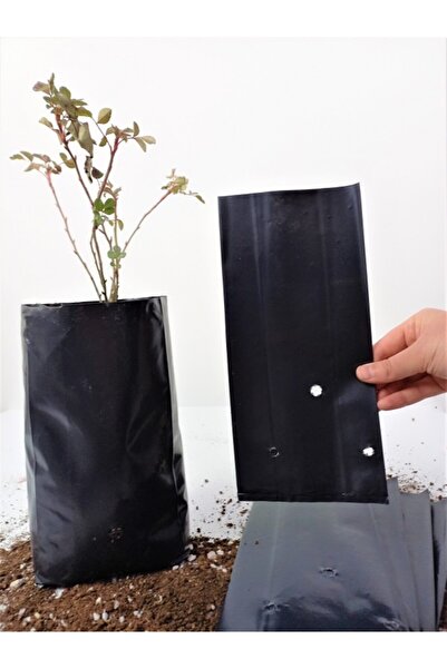 Asenya Fidan Poşeti 13x27 Cm 30 Adet Fidan Torbası Fide Poşeti