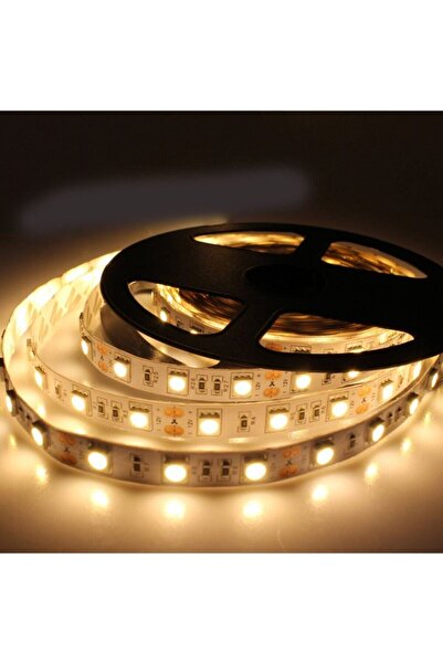 Genel Markalar 5 Metre Iç Mekan Üç Çipli Silikonsuz Gün Işığı Şerit