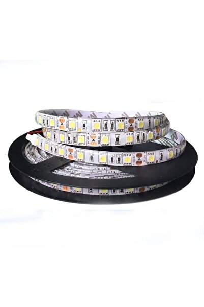 Genel Markalar 5 Metre Iç Mekan Üç Çipli Silikonsuz Gün Işığı Şerit