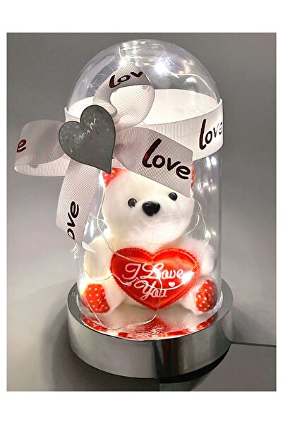 QUEEN AKSESUAR Anneler Günü Özel Sevgililer Günü Işıklı Fanuslu Teraryum Ayıc...