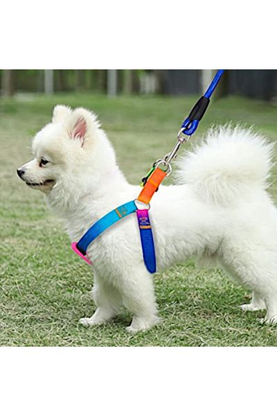 Ans Rainbow Rope Terier Dog Suit Chest and Walking Leash (SMALL=8KG,MEDIUM=12KG,LARGE=16KG)