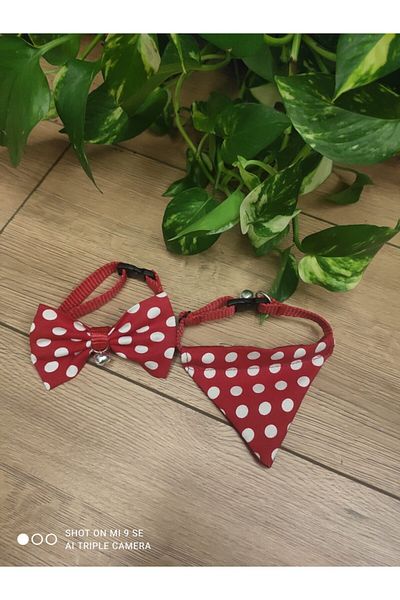 DECORTEX Leonis Cat Collar with Scarf, Rattle and Bow Tie Collar