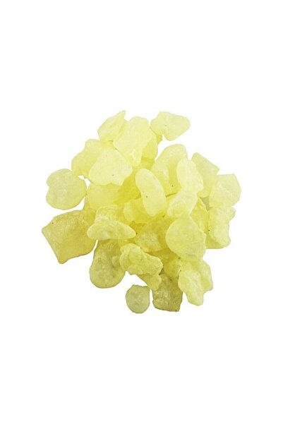 Dr. Gusto Damla Sakızı 100 gr